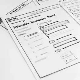 Agile development