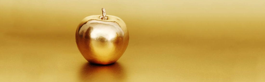 How To Get The Most Value Out Of Web Development